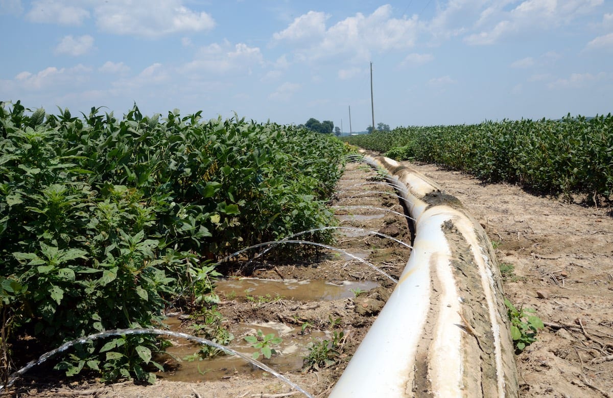 C Spire Smart Agriculture - Innovate Mississippi