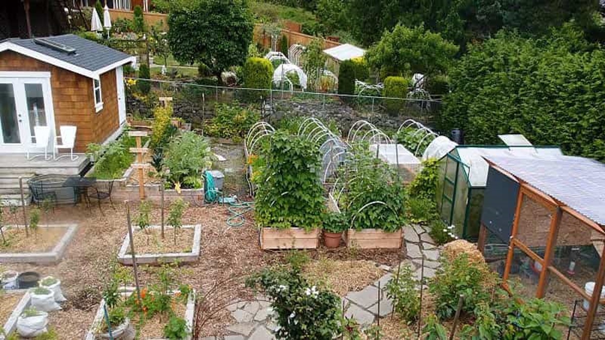 GrowninLocal - Home Garden for Virtual Farmers Market Sales