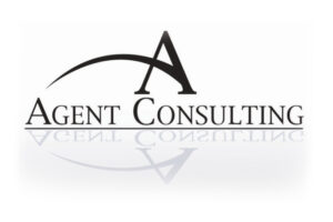Read more about the article Agent Consulting